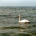 b010.jpg