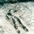 b065.jpg