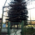 06.jpg