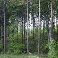 166.jpg