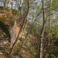 114.JPG