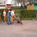 BK 020.jpg