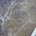 P4300079.JPG