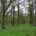 P5010113.JPG