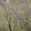 P5010136.JPG