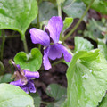 P5010140.JPG