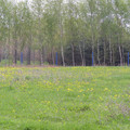 P5020156.JPG