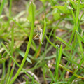 P5020157.JPG