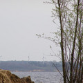 P5020163.JPG