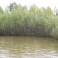 P5020165.JPG