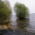 P5020172.JPG