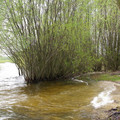 P5020174.JPG