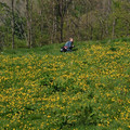 nell gold V-maj07 188.jpg