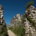 DSC_0507.jpg