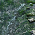 DSC_0775.JPG