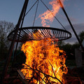 DSC_0805.jpg