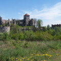 100_2979.JPG