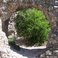 100_2987.JPG