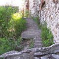 100_3003.JPG