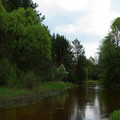 czarna01.jpg